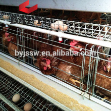 Sistema automático de gaiola de criação de frango com ovos / frangos de corte